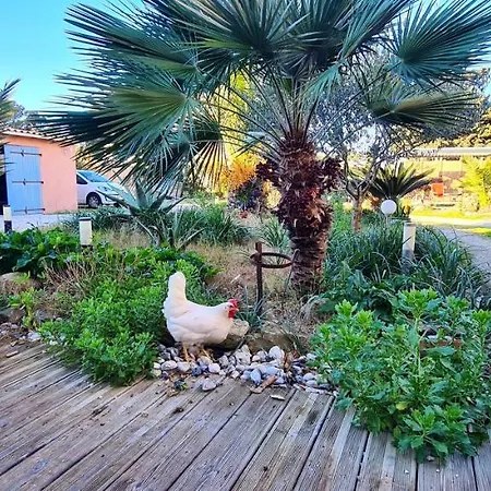 à Hyères, 20 M², Jardin Et Parking Privé * Hyères