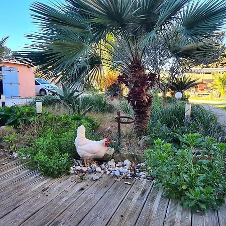 A Hyeres, 20 M², Jardin Et Parking Prive Apartament Hyères